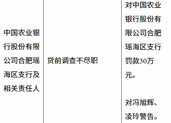 农业银行合肥瑶海支行贷前调查不尽职被罚款30万元