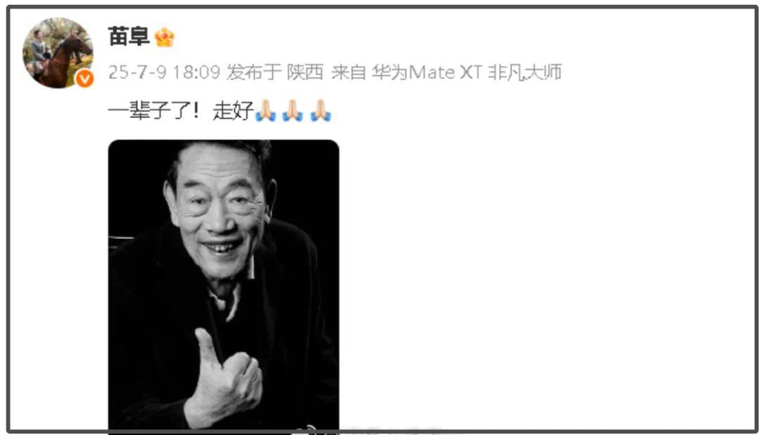 94岁杨少华高温天气被推去剪彩,下昼就死一火了,家属驳倒区死灭