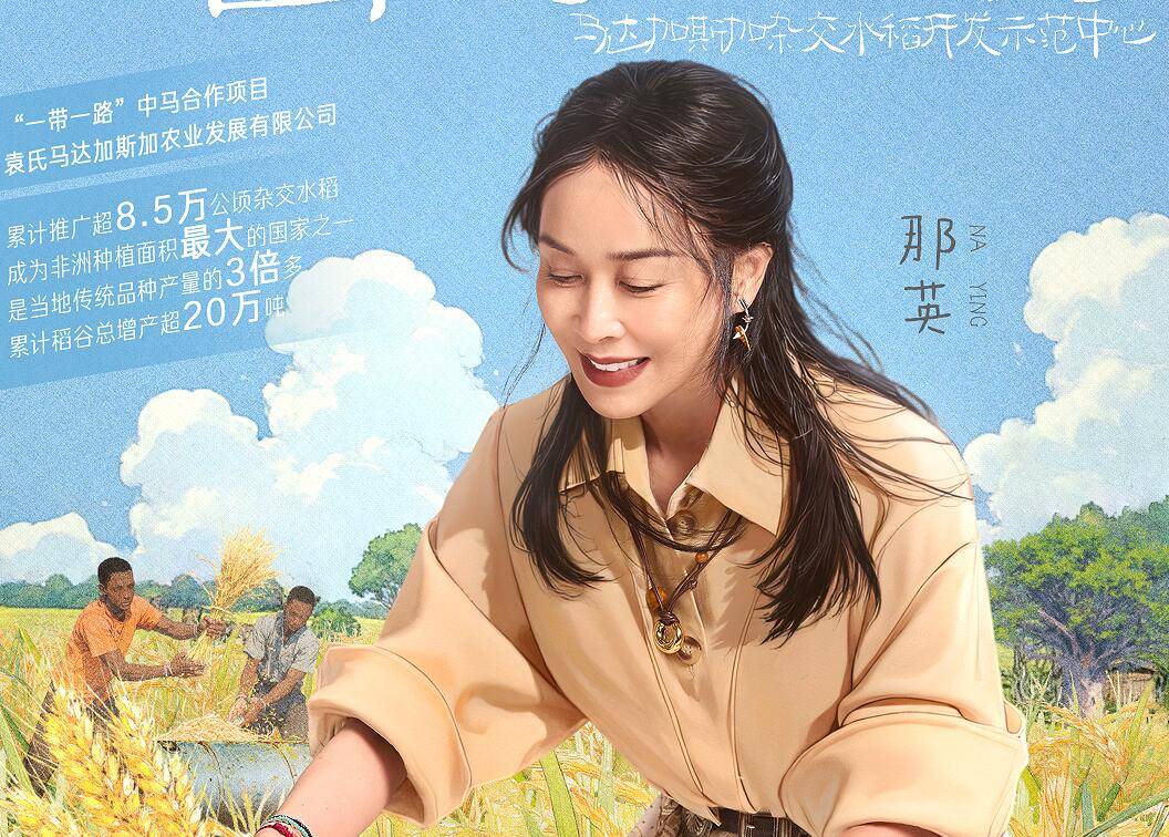 陈数用100元做了一道西红柿炒鸡蛋，明星的生活让老百姓大跌眼镜