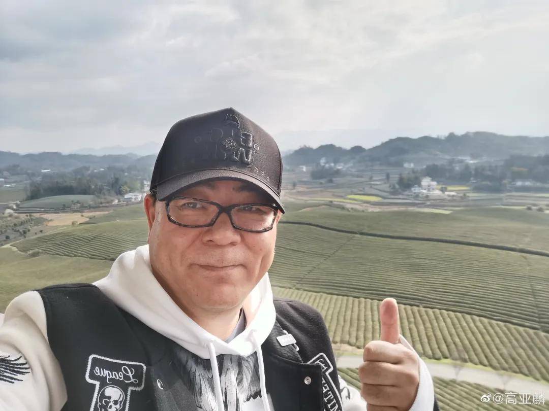 高亚麟被执行310万！一年前才被冻结788万股权，本人疯狂探店捞金