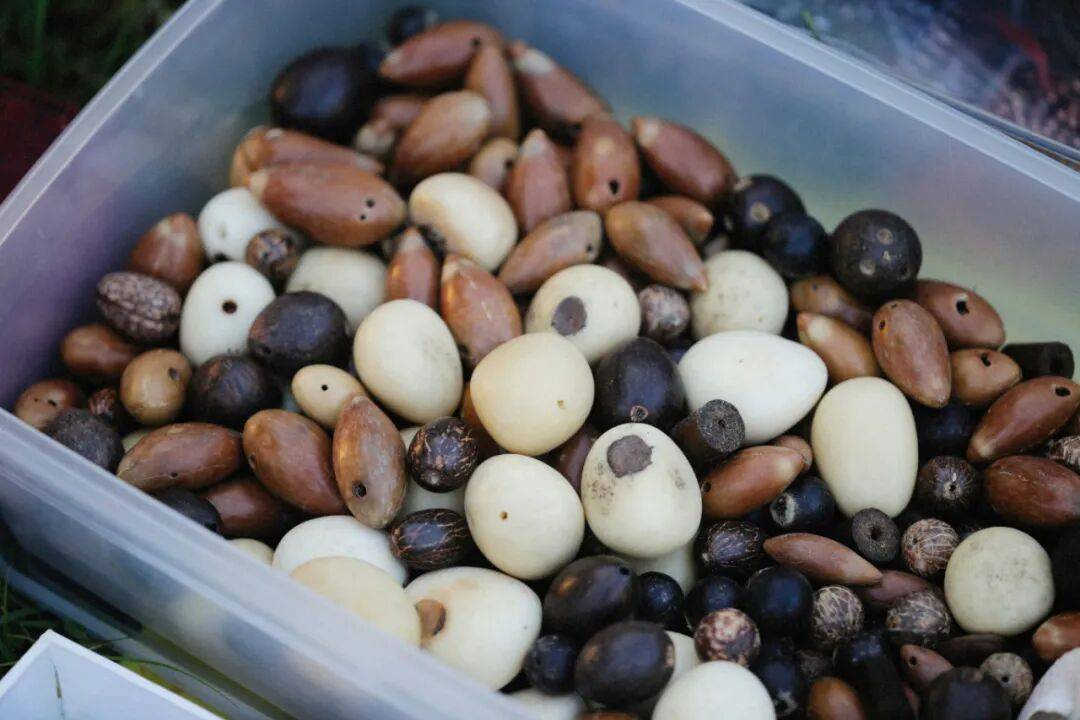 这种“牲口饲料”，是被低估的营养王者