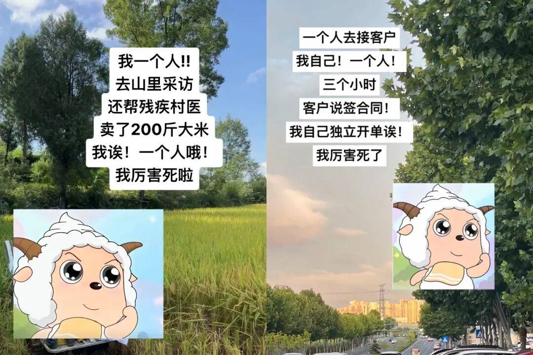 “勇敢小羊”成爆梗，拒绝长大的00后集体沉迷动画片