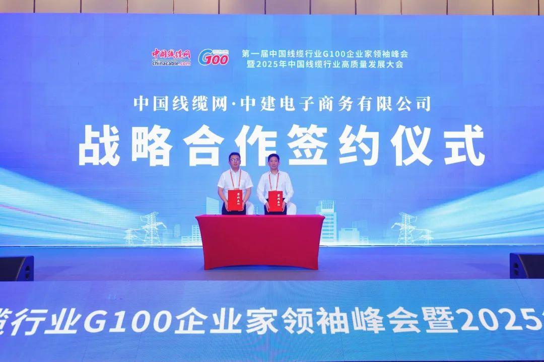 首届中国线缆行业G100企业家领袖峰会暨2025年高质量发展大会在广州开幕(图16)