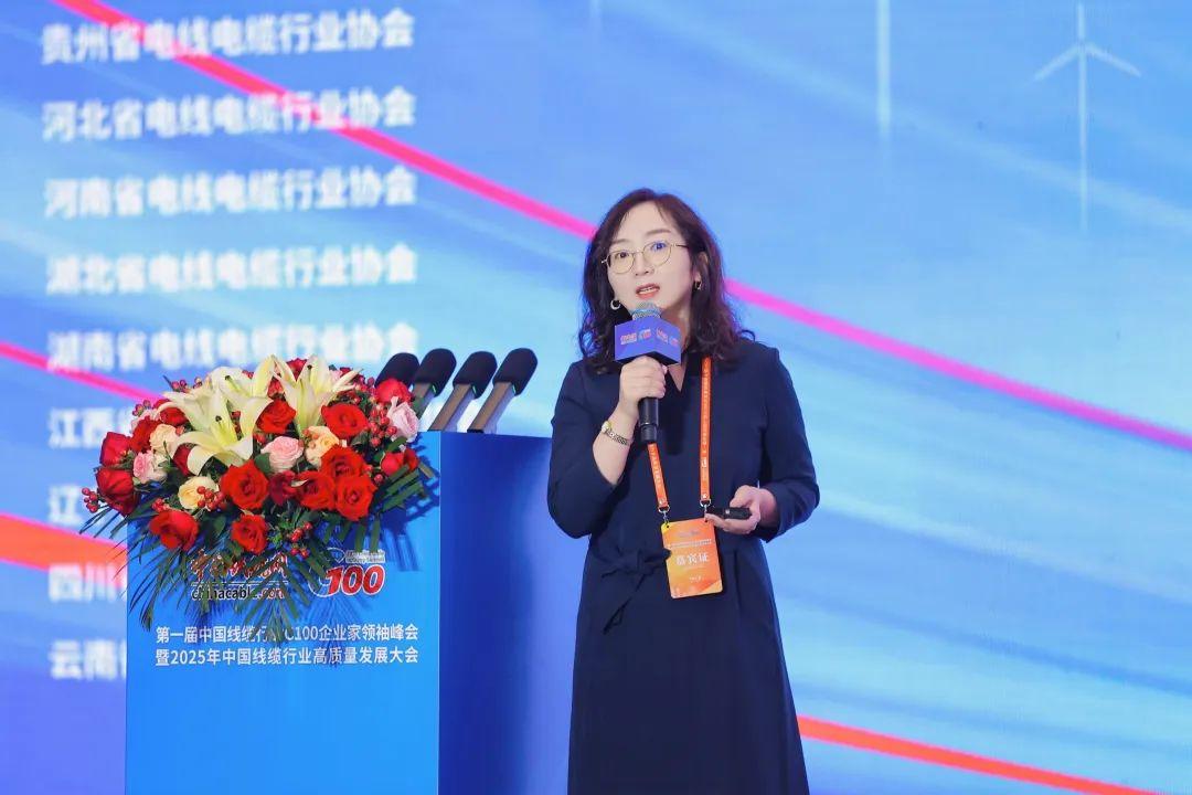 首届中国线缆行业G100企业家领袖峰会暨2025年高质量发展大会在广州开幕(图9)