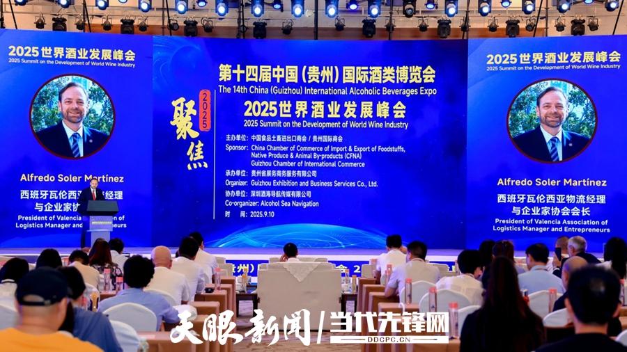 聚焦酒博会｜2025世界酒业发展峰会暨采购商洽谈会在贵阳举行(图3)