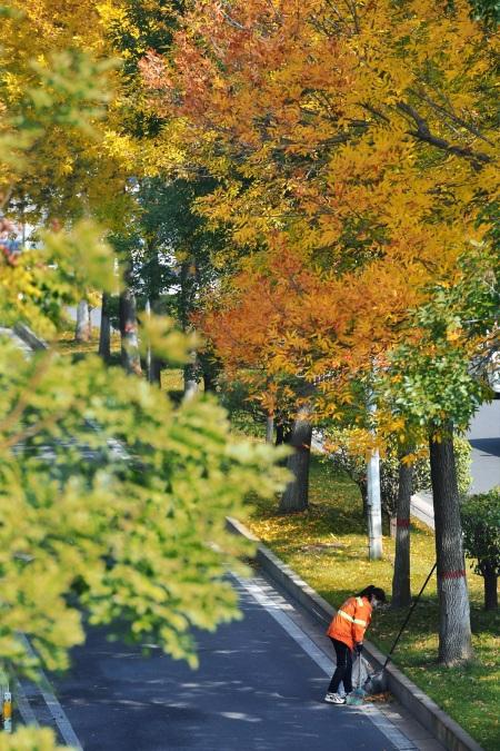 低温保清洁(图2)