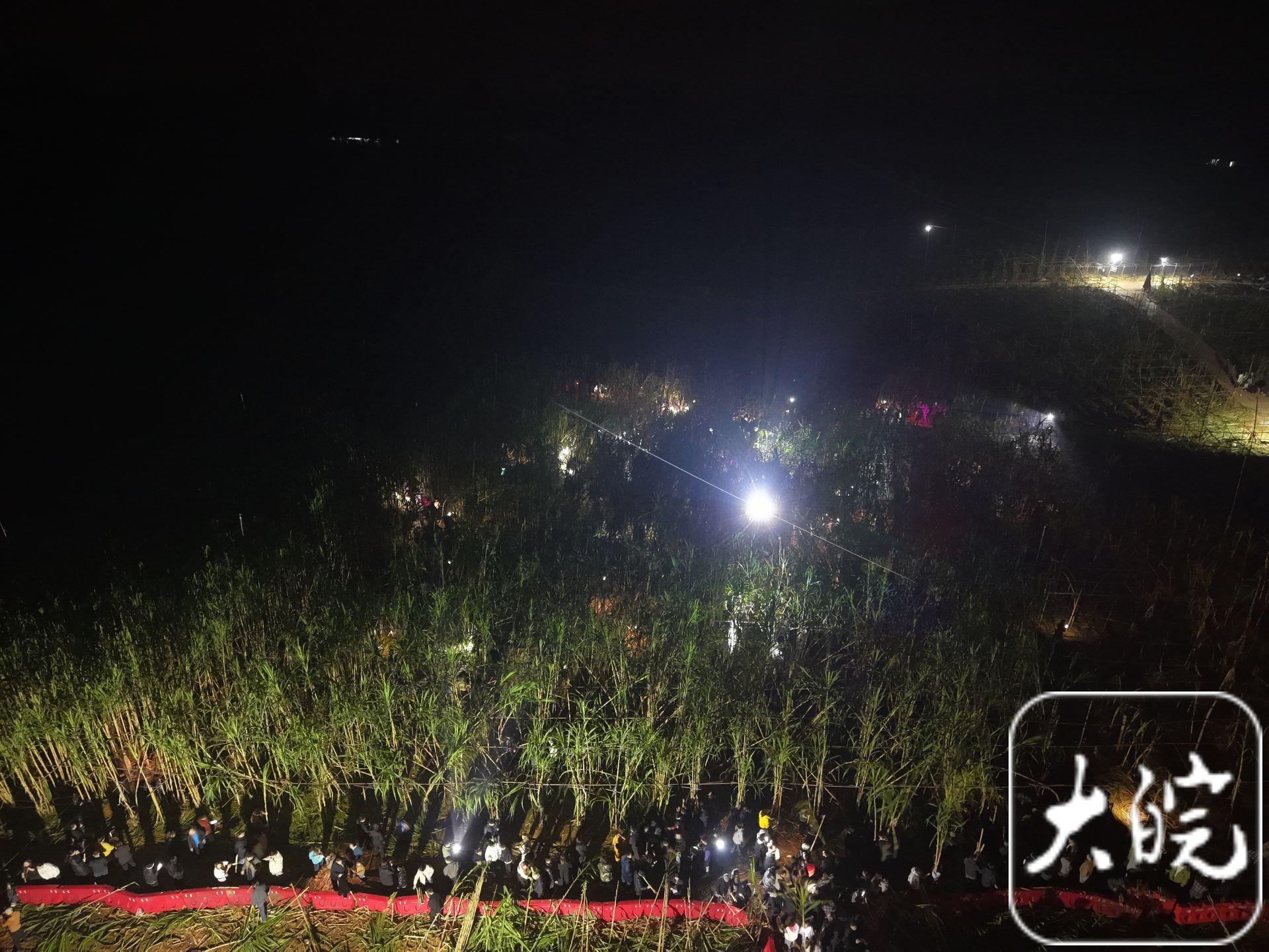 “甘蔗哥”官宣闭园倒计时:28日为最后游玩日,明年玩法将升级(图2)