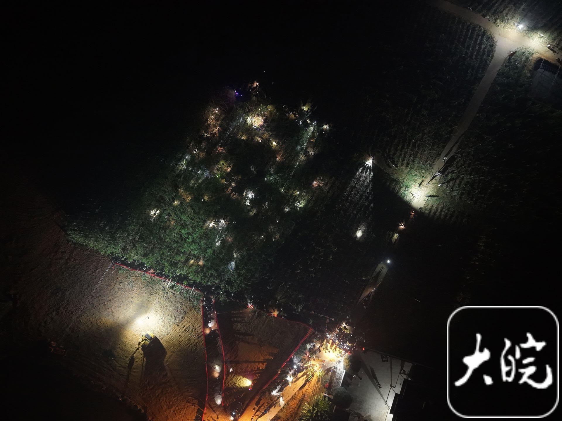 “甘蔗哥”官宣闭园倒计时:28日为最后游玩日,明年玩法将升级(图4)