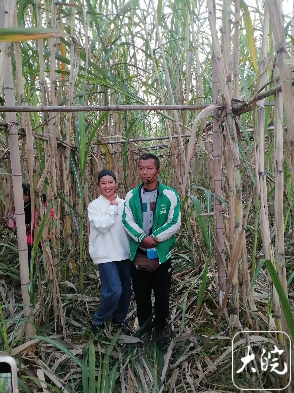 “甘蔗哥”官宣闭园倒计时:28日为最后游玩日,明年玩法将升级(图7)