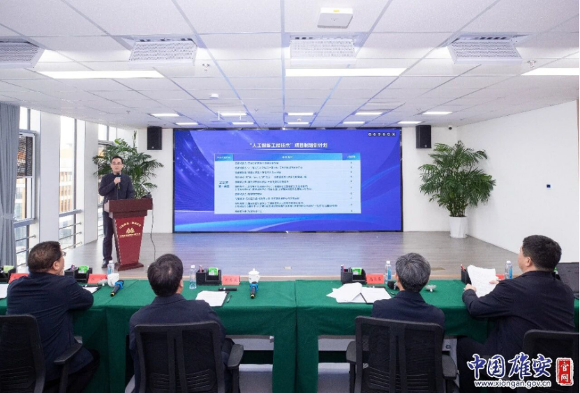 雄安新区发布人工智能项目制培训计划 首批组织15家定点培训机构