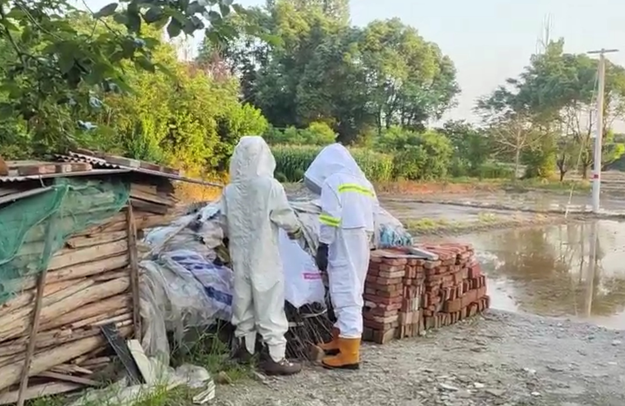 马蜂窝威胁住户安全 宣城消防成功摘除