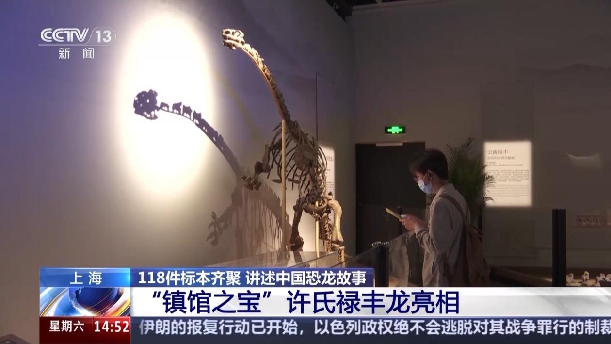 <font color='red'>11</font>8件恐龙标本齐聚 展示中国三代恐龙人的探索与突破