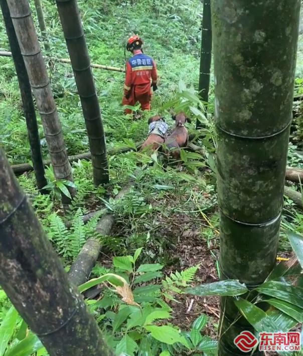 三明宁化：老人深山走失10天后成功获救