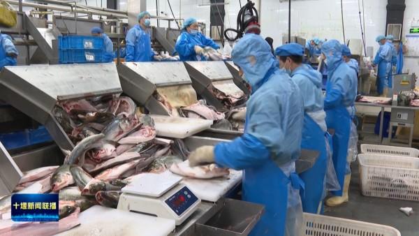 持续提升能力作风 服务湖北建成支点丨博奥食品：研发新品拓市场 提前实现“双过半”