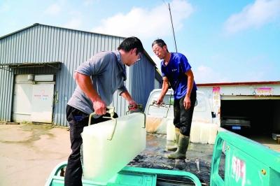 江苏南京：高温带火“冰生意” “冰工厂”开足马力