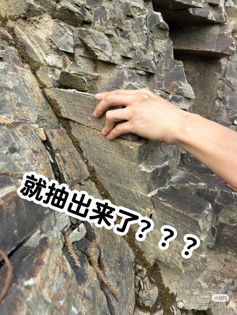 千岛湖附近山体岩石呈层状结构，像砖块还能被抽出 专家分析：应该是砂岩