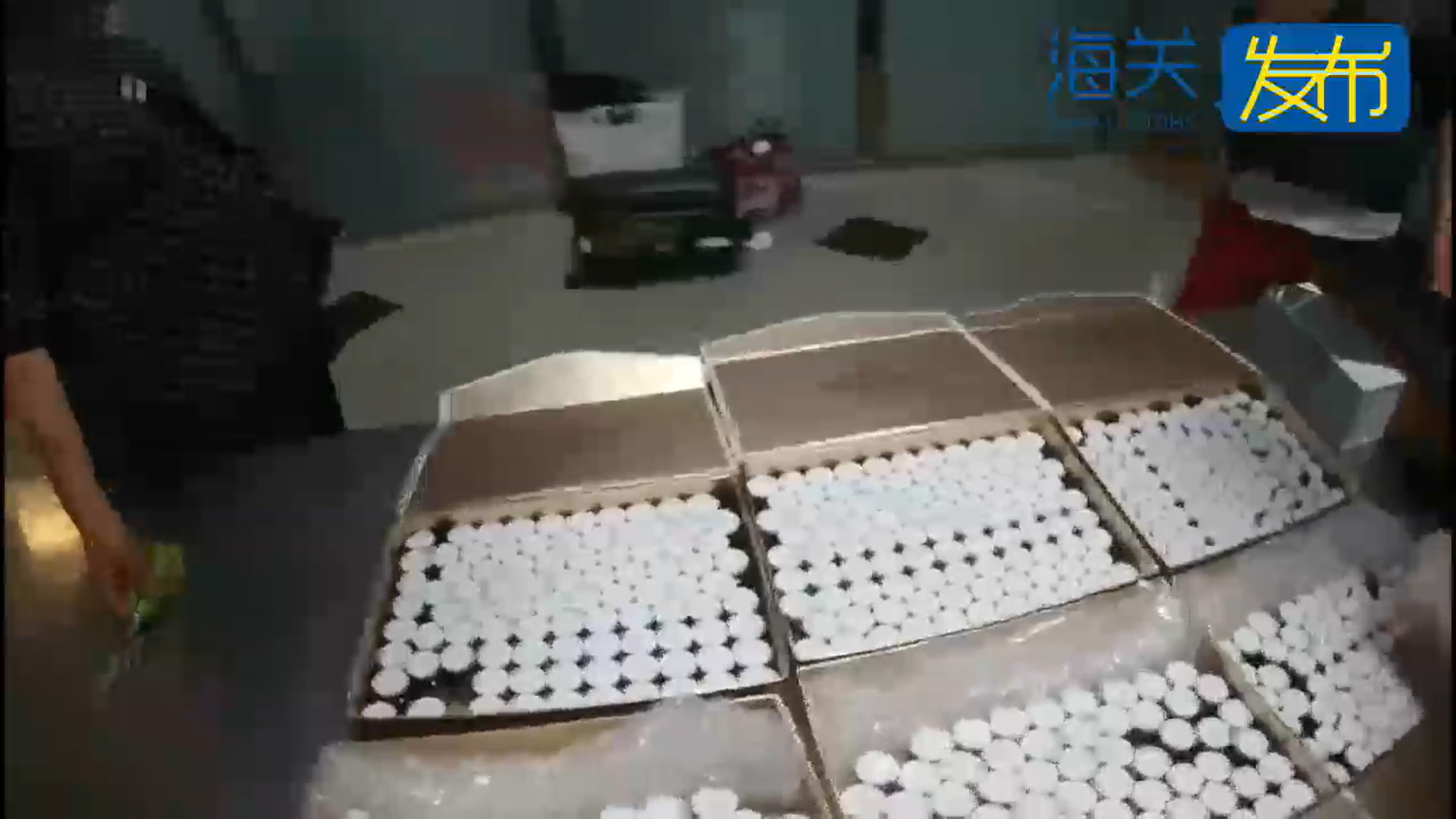 长春海关查获精华原液480瓶