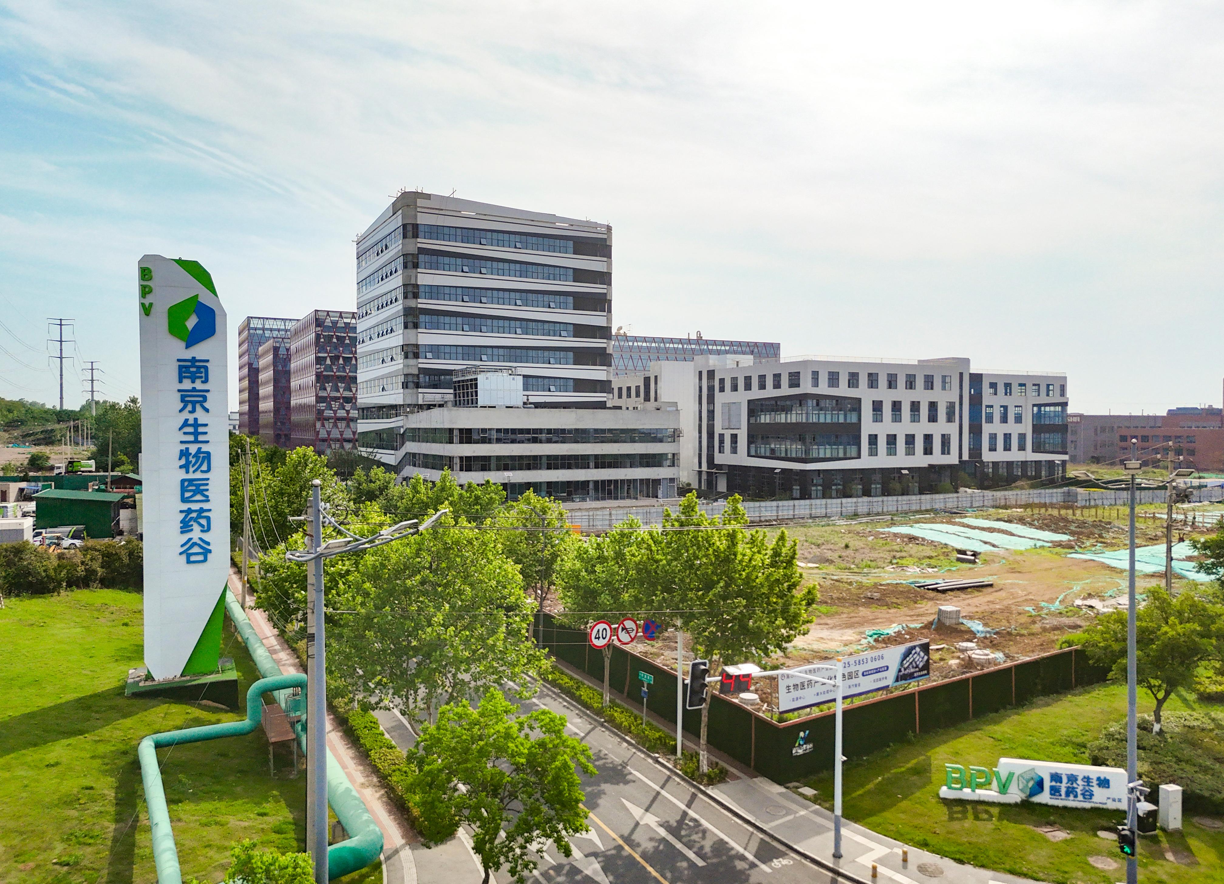 细胞治疗，南京驰骋“黄金赛道”