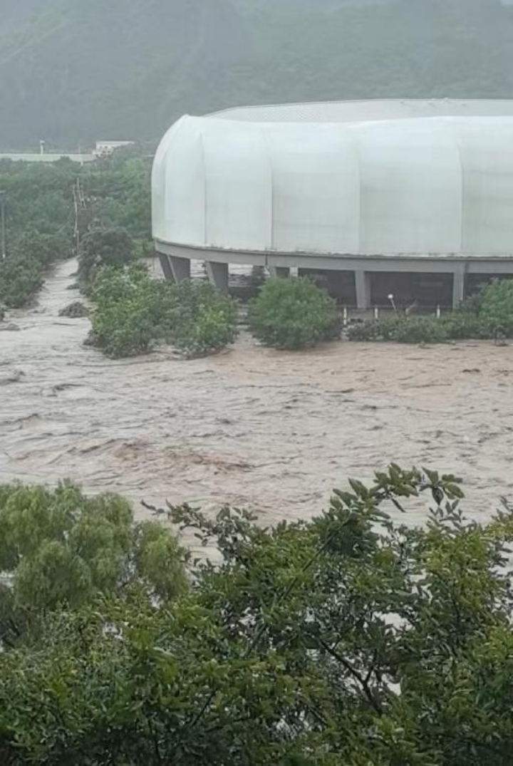 天津集训遇暴雨洪流，济南短道速滑队两年轻教练引领40余人脱险