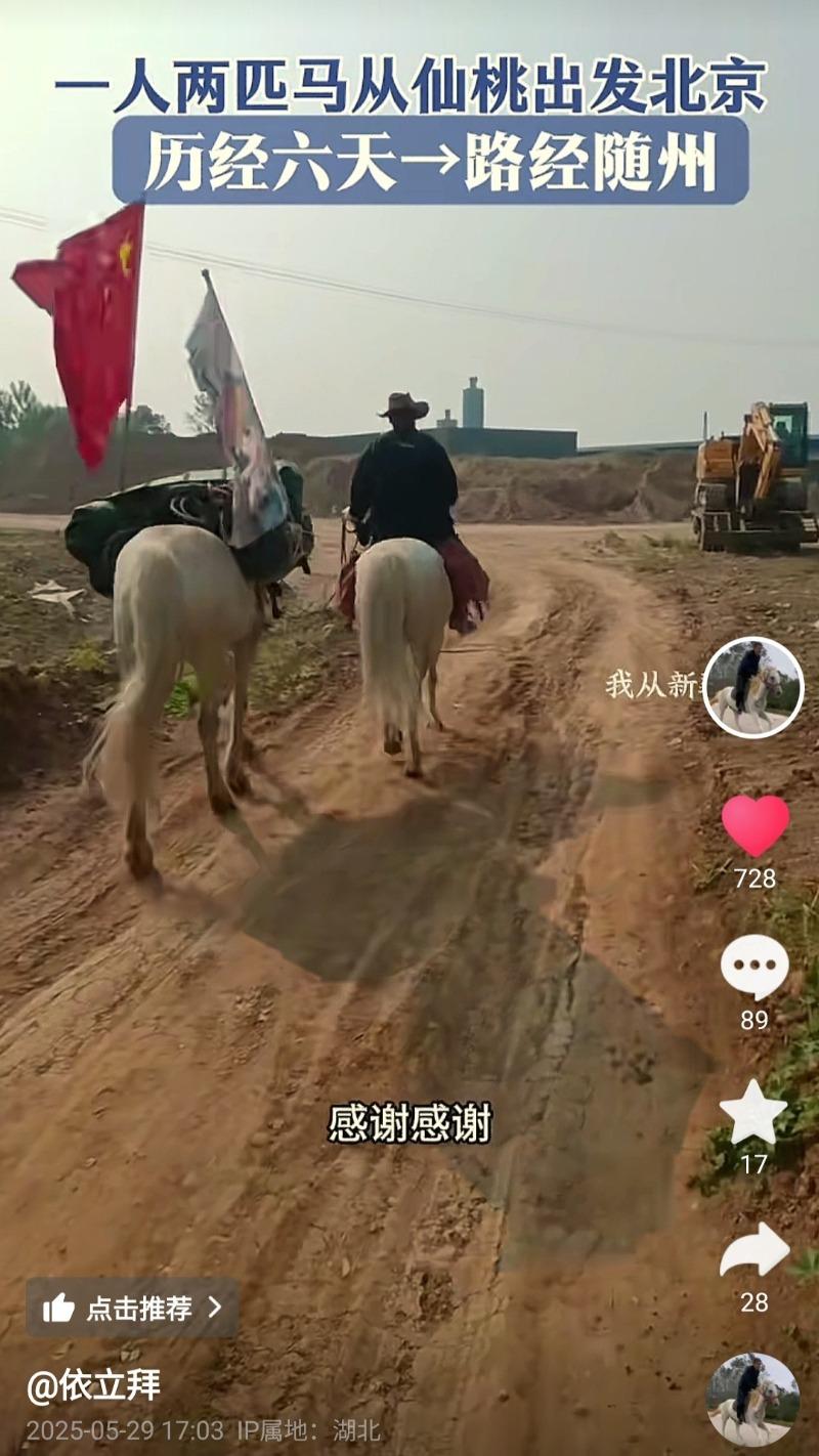 救人“白龙马”去世近半年 主人骑行路上曾遇到一匹很像它的马