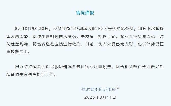 西安通报“水管高空坠落砸中婴儿车”：疑因大风吹落导致
