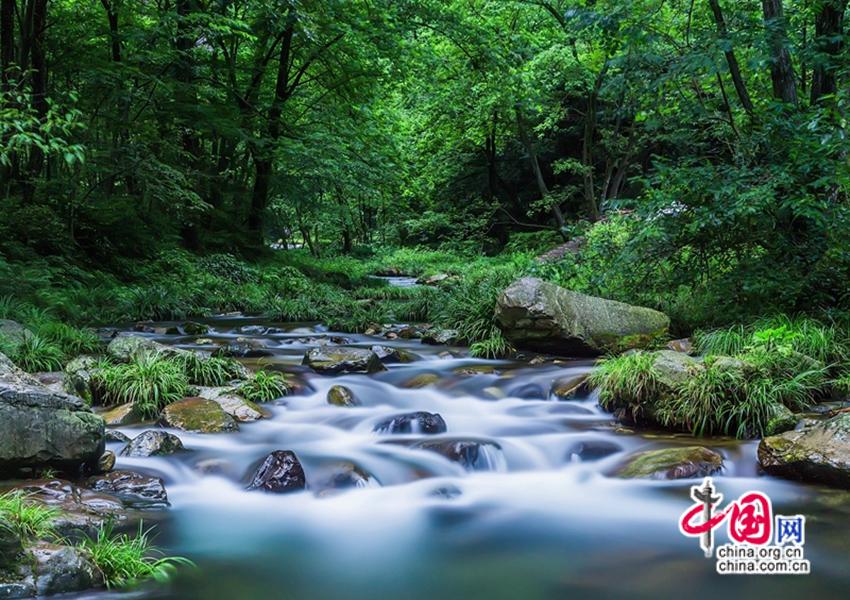 武陵源：清凉经济持续升温 避暑游成消费新引擎