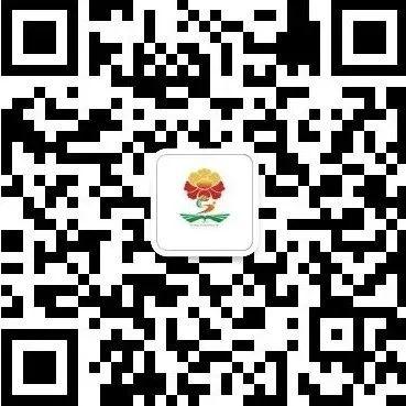 2025年菏泽市牡丹区点将台路小学招生公告