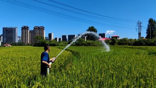 高温抗旱 “及时雨” 萍乡消防党员服务队义务送水保农田