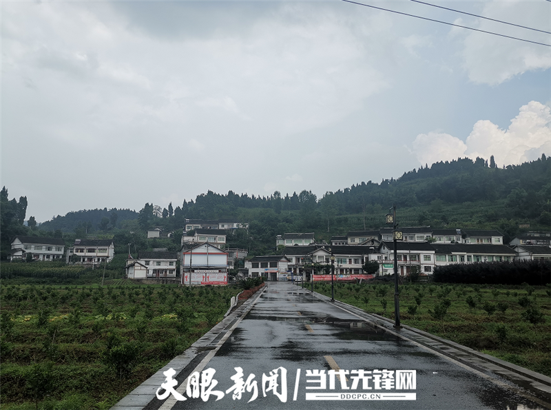世外桃源幸福村：银杏金黄引客来，民族和睦“留”人心