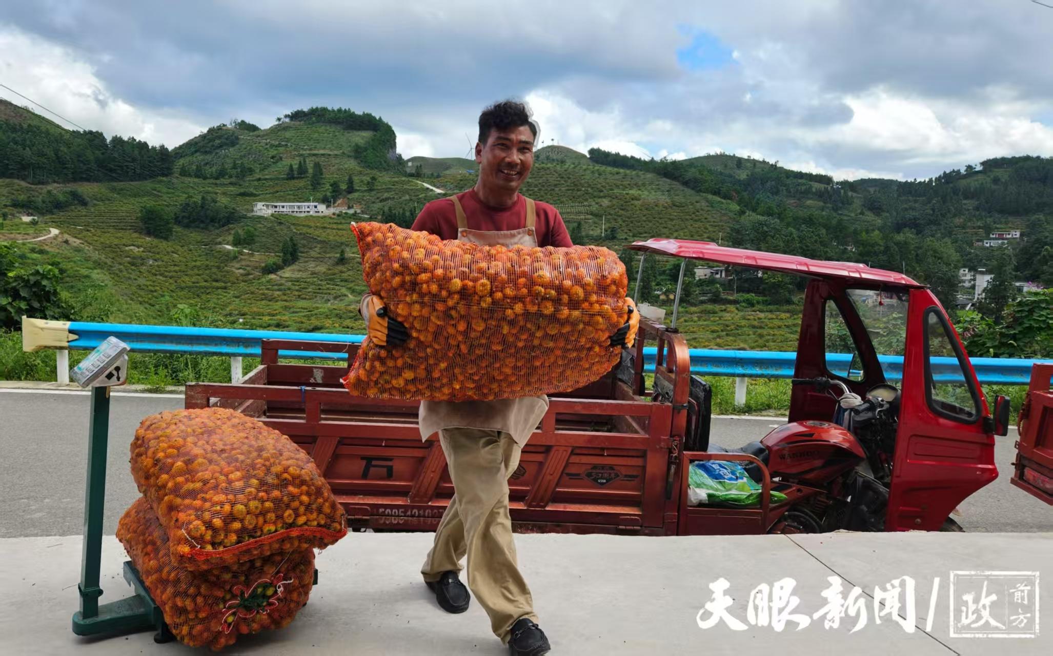 “响当当”家的刺梨，味道销量响当当的好