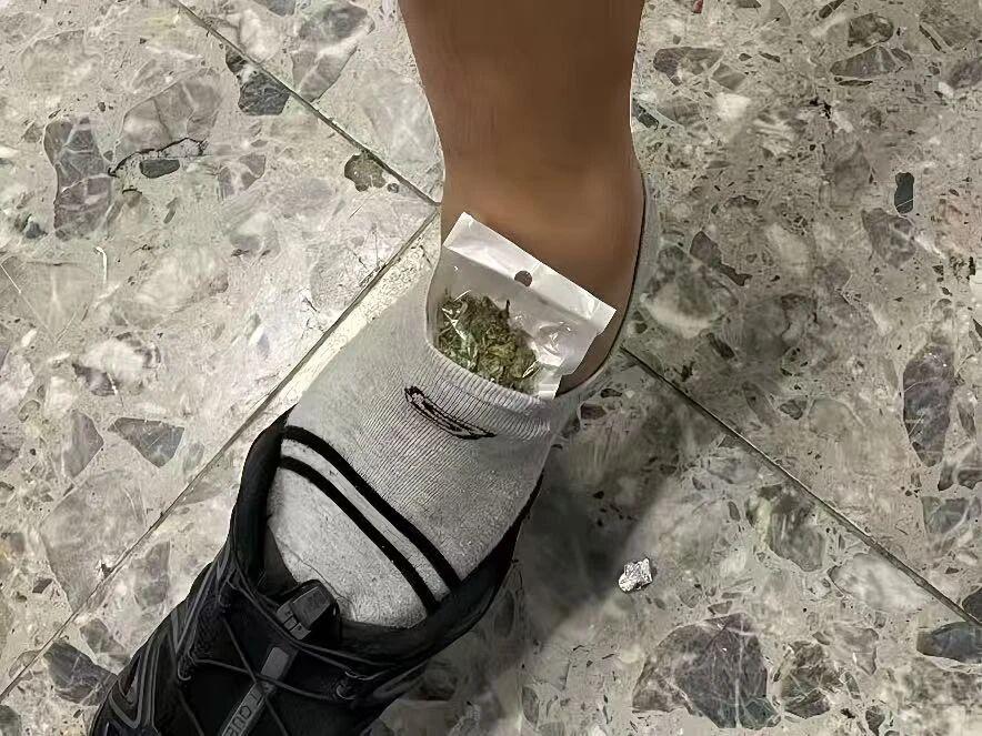 一进境旅客袜子内藏匿大麻2.9克 被西九龙站海关查获