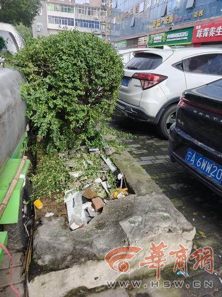 小8跑街|工农路绿化带内堆积垃圾杂物