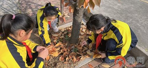 秋叶心语,时光信箱——枣庄市市中区永安镇遗棠小学举行小学生心理健康主题活动