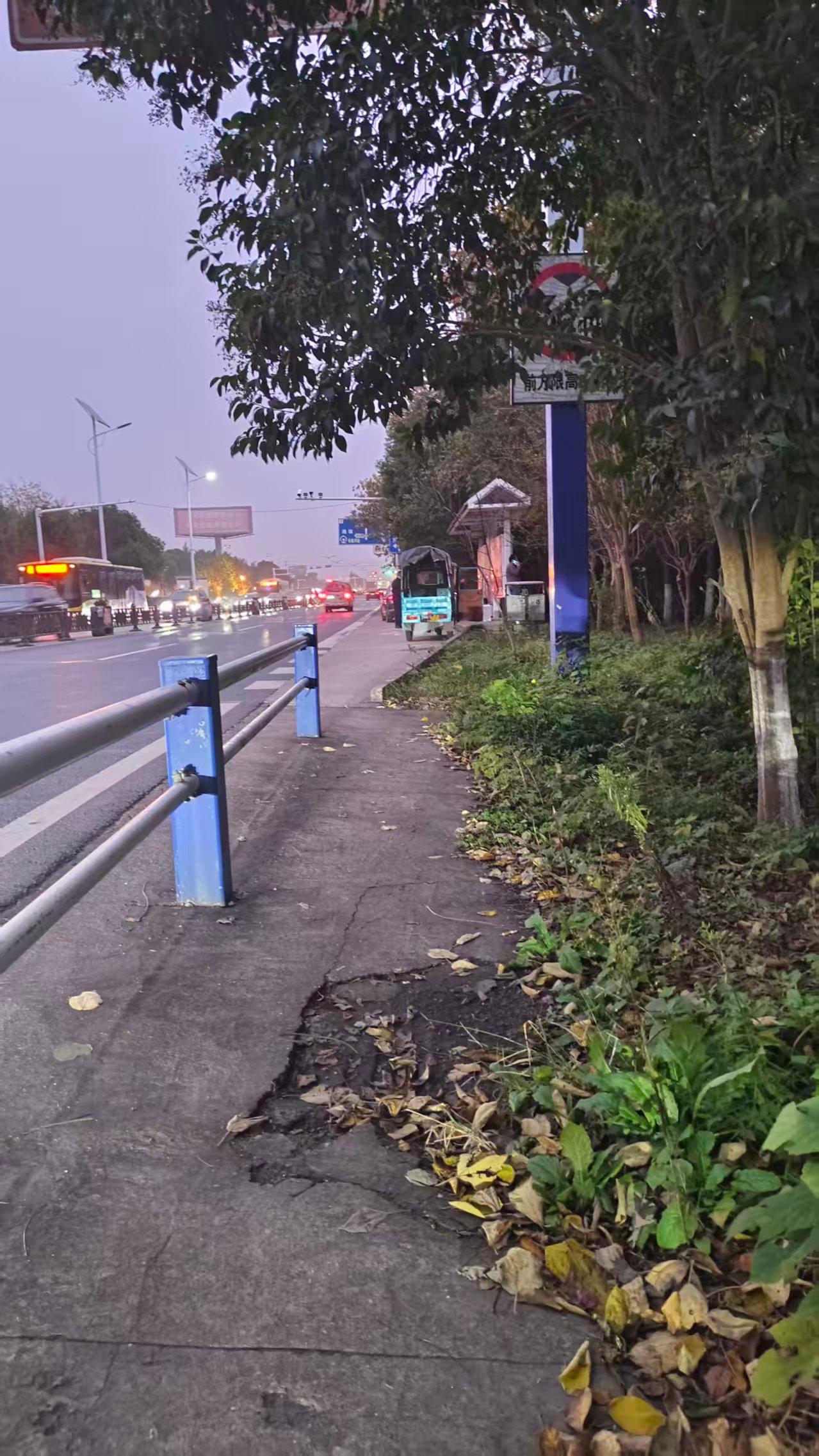 热心大哥，你在哪里？合肥一老人雨夜摔倒获助，家人盼当面道谢