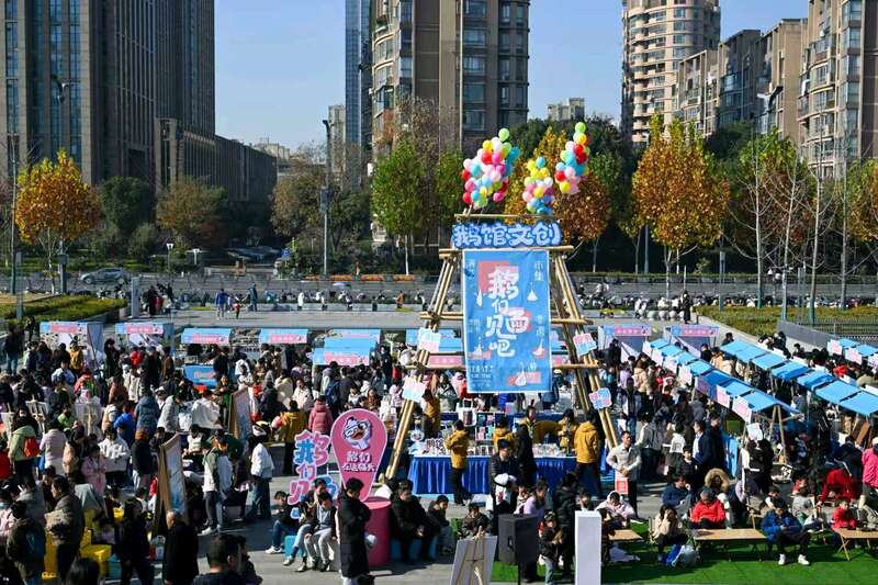 合肥市中心图书馆开办“读者市集”,青少年各展所长