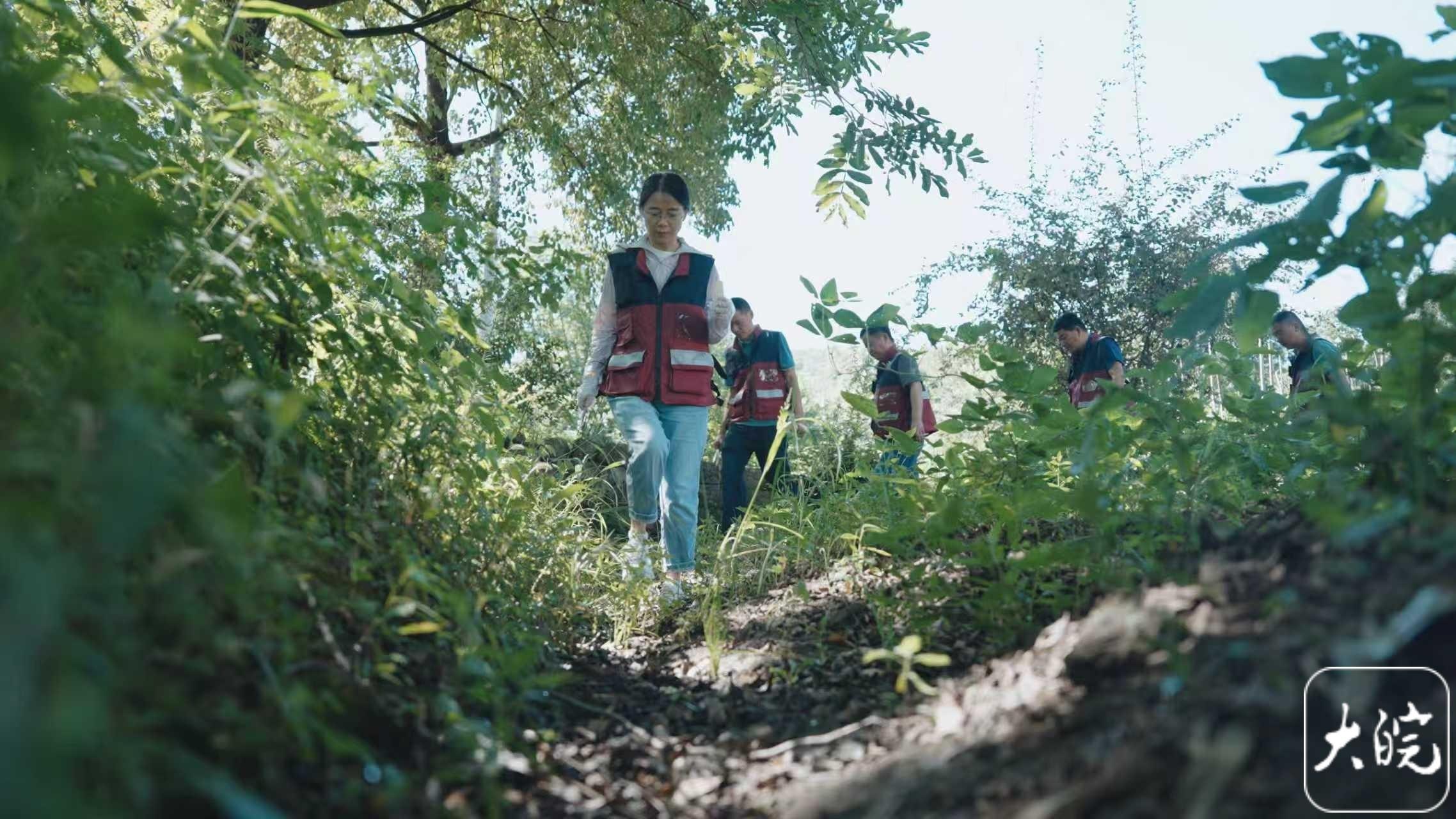 小叶医探 | 2025年“最美医生”刘志宏:田间走来的“追虫人”,用“火眼金睛”守护百姓安康