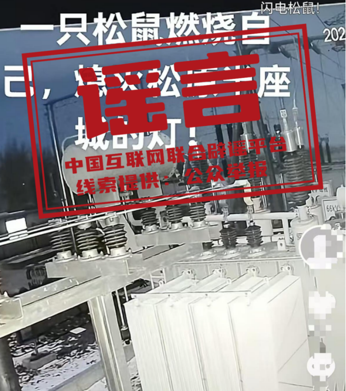 一只松鼠导致吉林松原“半城”停电?谣言!