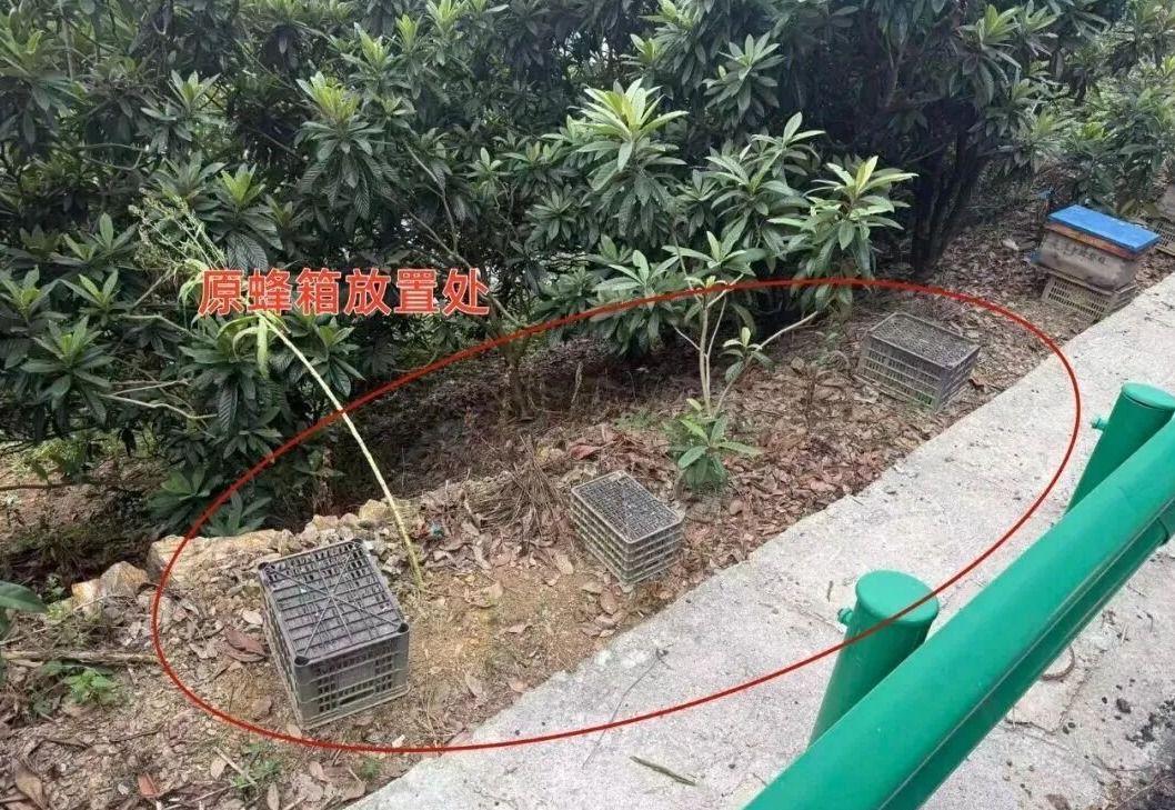 歙县警方破获蜂箱盗窃案 2人被刑拘