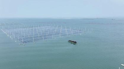 拼多多80后紫菜主理人:弃高薪返乡创业,设“弹性岗”支持员工家事工事事事关心