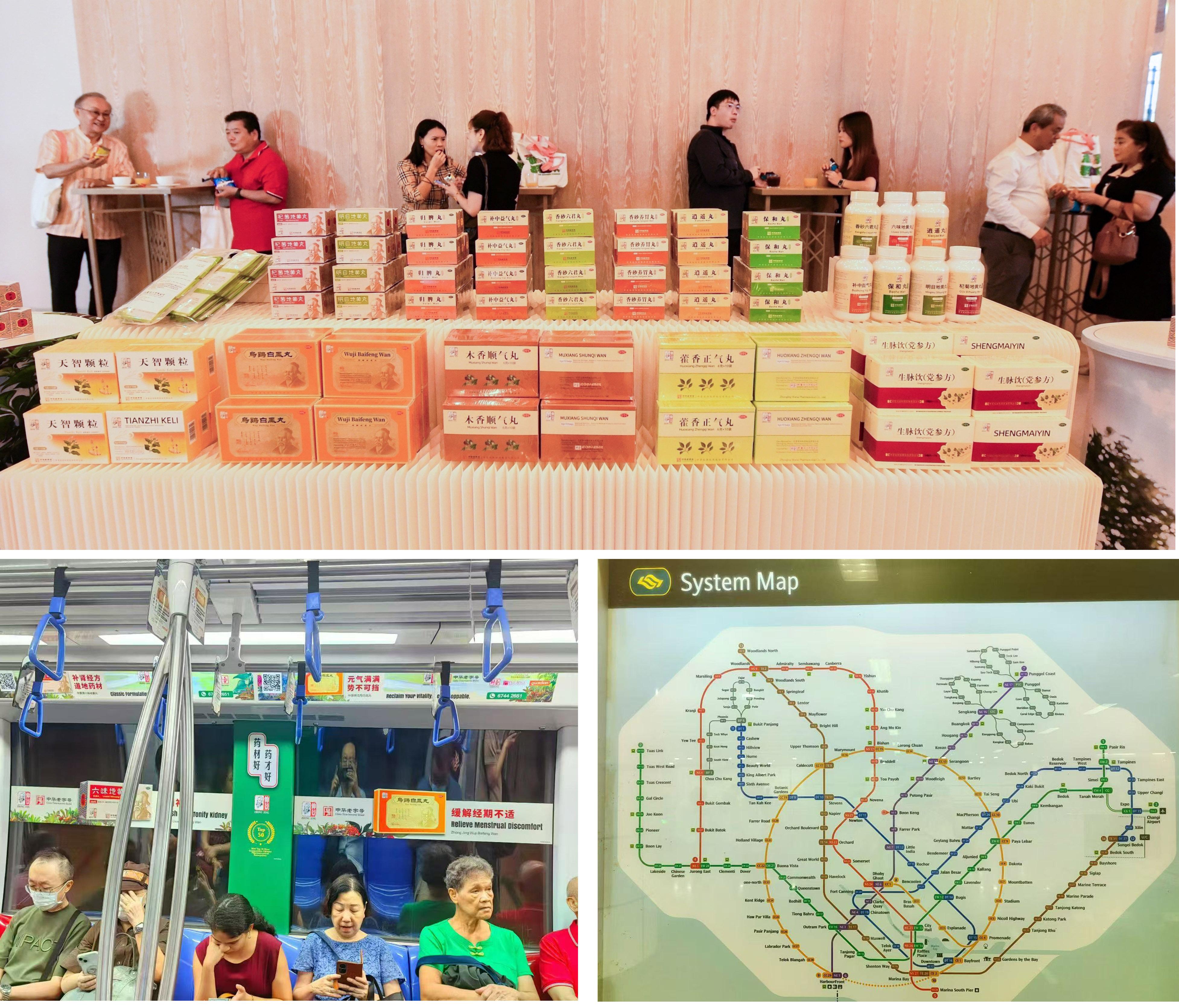 从一株小草到全球良方丨链接世界的河南力量