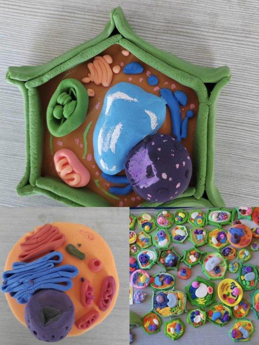 山东省淄博第十中学高一级部冬学活动月收官