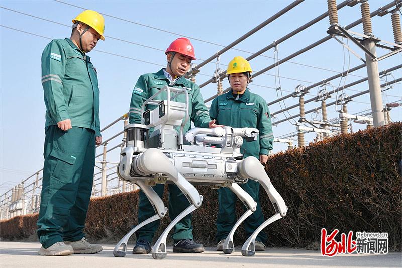 感恩奋进 双争有我｜国网廊坊供电公司变电运维中心主任杨旭：“在平凡岗位也能闯出样子来”