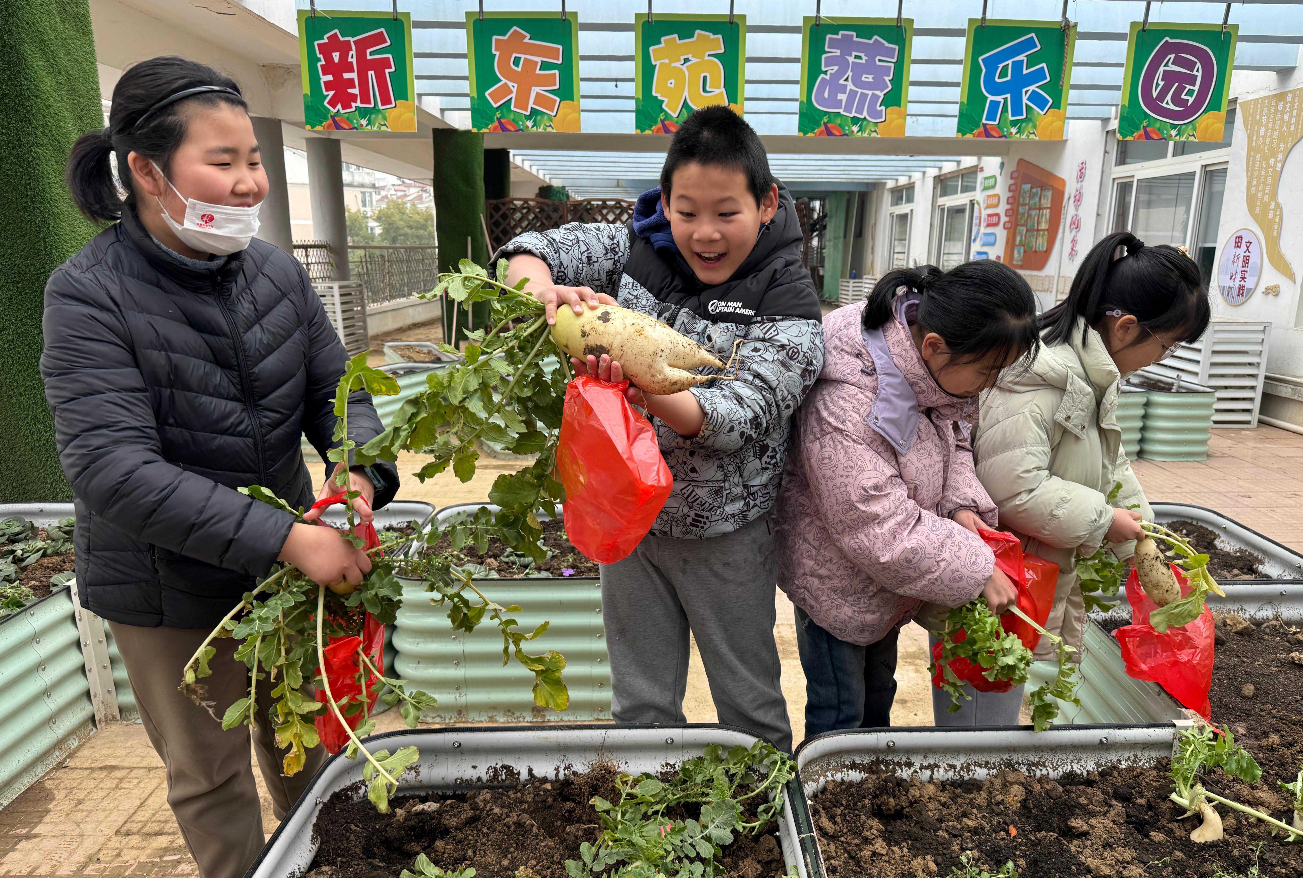一把青菜一份福 新东苑社区这场“老少同乐”把新春暖意种进心里