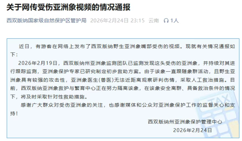 西双版纳发布关于网传受伤亚洲象视频的情况通报